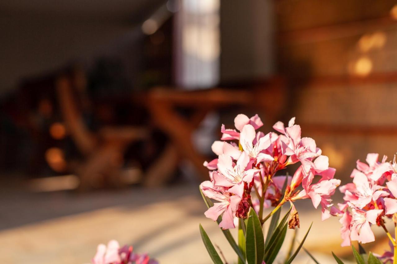 Apartman Tanja Fažana エクステリア 写真